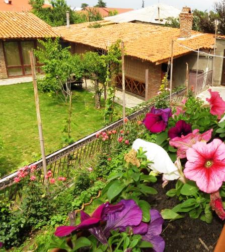 a garden of flowers in front of a house at Bucha`s Guest House & Wine Cellar in Tʼelavi