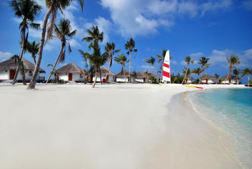 a sail boat on a beach with palm trees at Safari Island in Mushimasgali