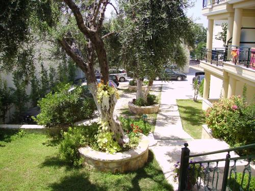 a tree in a pot with flowers in a yard at Hotel Loukas Vrachos in Paralia Vrachou