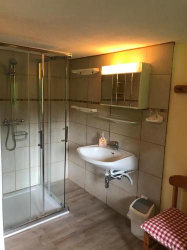 a bathroom with a sink and a shower at Austrian Alps - Haus Kienreich in Altenmarkt im Pongau