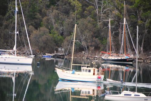 a group of boats are docked in a harbor at A Slice of Paradise in Barnes Bay