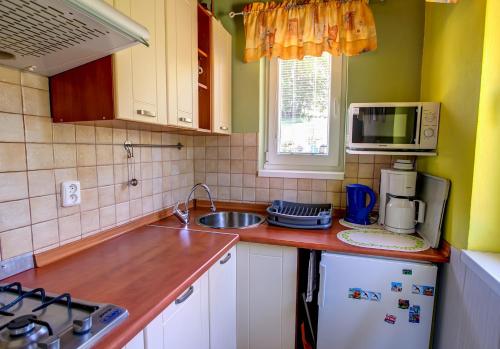a small kitchen with a sink and a microwave at Domceky Holiday in Liptovský Trnovec