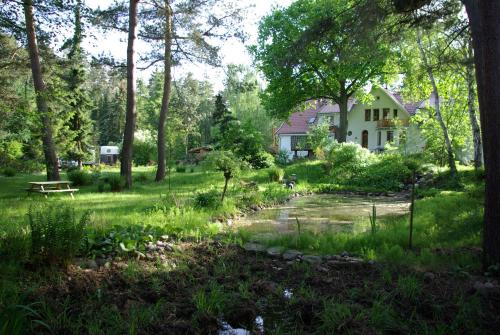 a house in the middle of a yard with a pond at Sternenhimmel in Bleckede