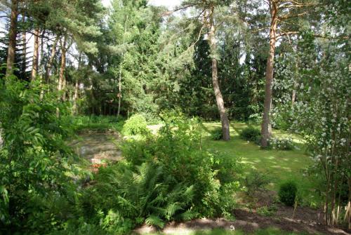 a garden with trees and grass and plants at Sternenhimmel in Bleckede