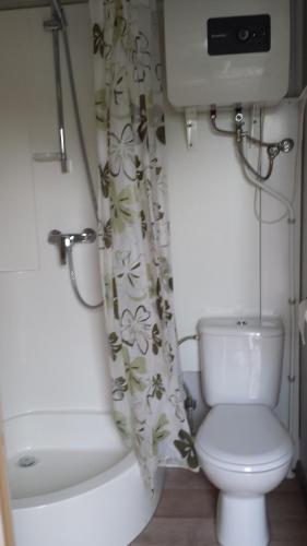 a bathroom with a toilet and a sink and a shower curtain at zeeuwse chalet voor 2 personen in Serooskerke