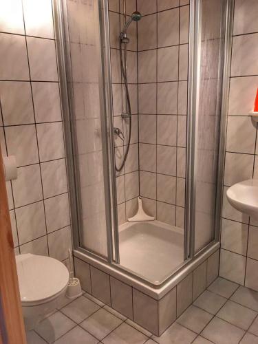 a bathroom with a shower and a toilet at Waldhaus Crottendorf in Crottendorf