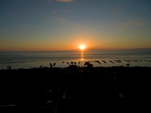 a flock of birds on the beach at sunset at Kabeh Jati Garden Villa & Restaurant in Nusa Penida