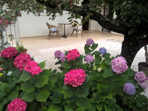 a bunch of pink and purple flowers in a garden at Apartments Frlan in Kastav
