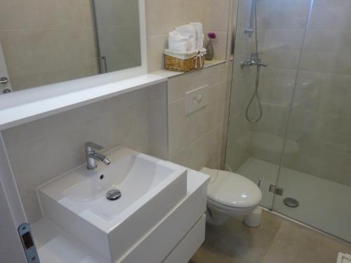 a bathroom with a sink and a shower and a toilet at Apartment Duce in Omiš