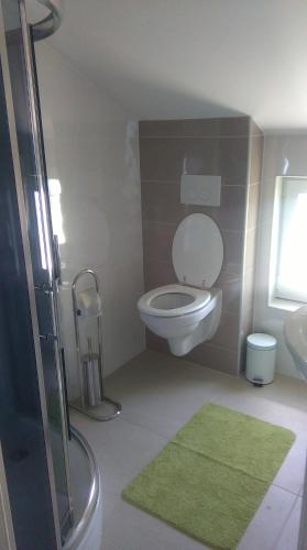 a bathroom with a toilet and a green rug at Apartmani Vila Dadić in Karlobag