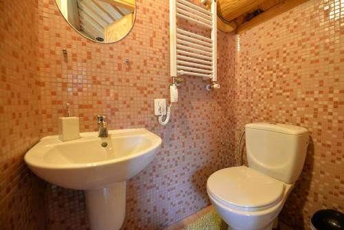 a bathroom with a sink and a toilet and a mirror at Sodyba Tarp Liepų in Leliūnai