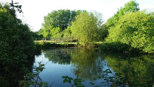 a view of a river with trees and a fence at Les gites Haras Del Paradiso in Boitron