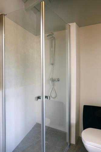 a bathroom with a glass shower with a toilet at Galpon Boutique Aldea De Abaixo in Palas de Rei