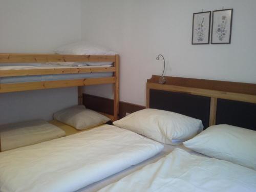 Двухъярусная кровать или двухъярусные кровати в номере Appartements Landhaus Jäger
