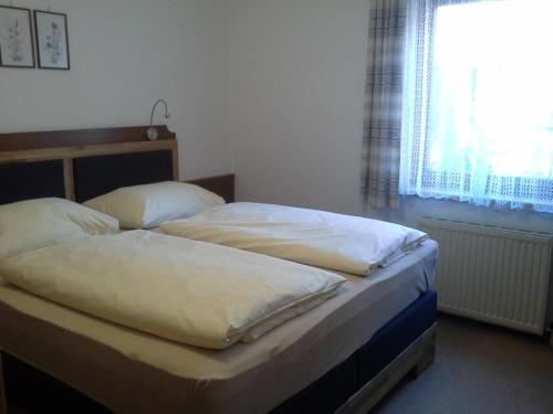 two twin beds in a bedroom with a window at Appartements Landhaus Jäger in Filzmoos