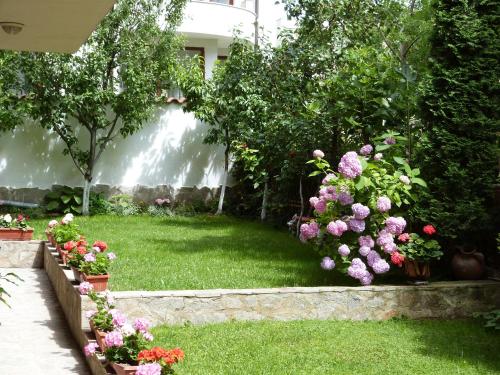 Vrt ispred objekta Beroe