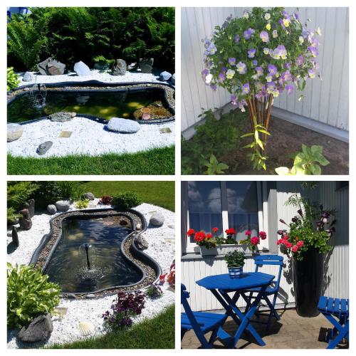 four pictures of a garden with a pond and a table and flowers at Luha Private House in Pärnu