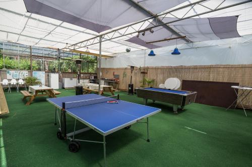 Stolní tenis v ubytování De Groote Wijzend nebo okolí