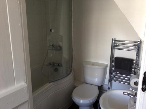 a bathroom with a shower and a toilet and a sink at teapot cottage in Great Torrington