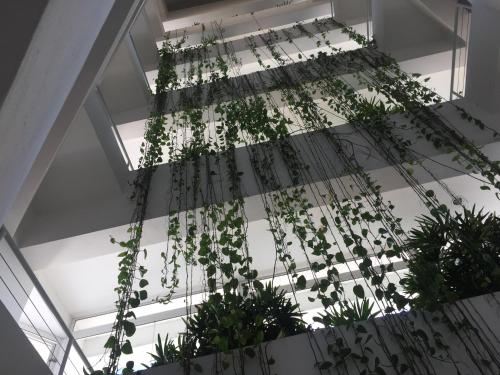a building with plants hanging from the ceiling at Marbella Juan Dolio in Juan Dolio