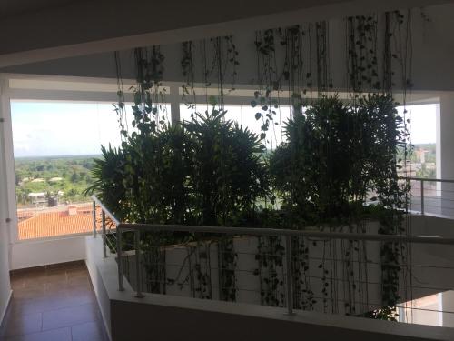 a balcony with two potted plants on it at Marbella Juan Dolio in Juan Dolio