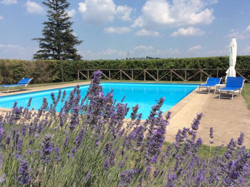 Swimmingpoolen hos eller tæt på Agriturismo Il Morello