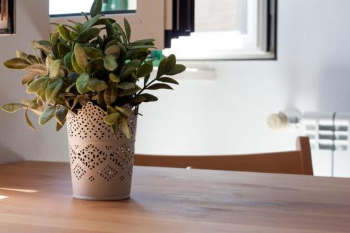 a vase with a plant sitting on a table at By the C house in Vila Nova de Milfontes