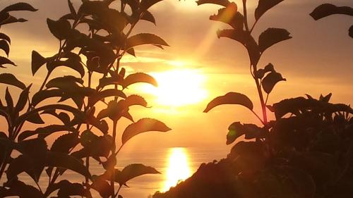 una sagoma di una pianta con il tramonto sullo sfondo di Appartamento vista mare a La Guardia