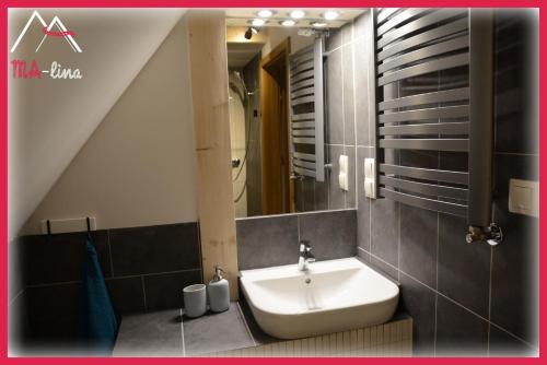 a bathroom with a sink and a mirror at MA-lina Apartament i Pokój Gościnny in Zakopane