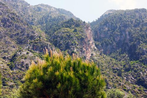 Paesaggio naturale nelle vicinanze della casa vacanze