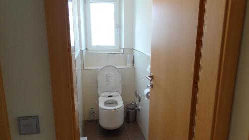 a small bathroom with a toilet with a window at Appartements Gassner in Bruck an der Großglocknerstraße