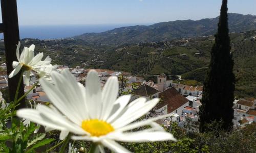 Casa Ana, Fantásticas vistas a Frigiliana, el mar y la montaña
