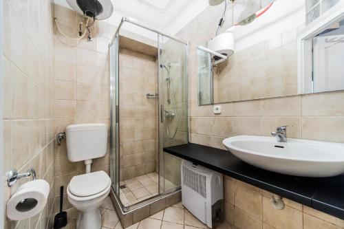 ein Bad mit einem Waschbecken, einem WC und einer Dusche in der Unterkunft Aranyos Apartman Budapest in Budapest