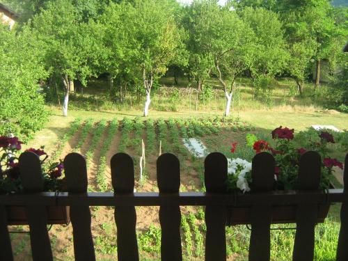 Gallery image of Apartment Jopa in Korenica