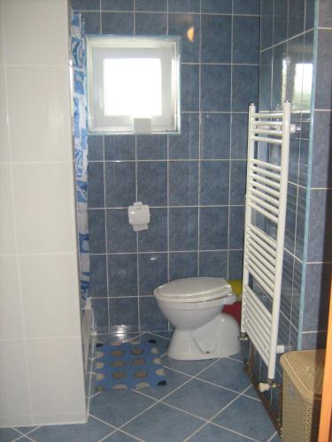 a blue tiled bathroom with a toilet and a window at Apartment Jopa in Korenica