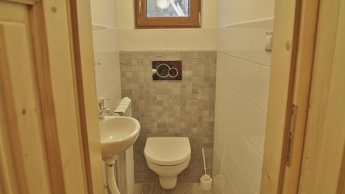 a small bathroom with a toilet and a sink at Horský apartmán Draps in Ostružná