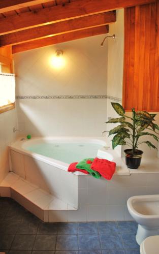 a bathroom with a tub with a potted plant at Apart Hotel del Pellin in San Martín de los Andes