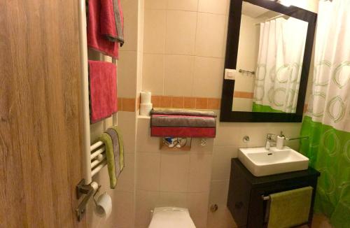 a bathroom with a sink and a toilet and a mirror at Vip apartment Beograd in Belgrade