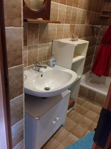 ein Badezimmer mit einem weißen Waschbecken und einer Dusche in der Unterkunft Attraktives Häuschen Glogauer in Hamburg