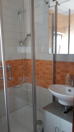 uma casa de banho com um chuveiro e um lavatório. em Ferienwohnung Claudia & Dino em Lahnstein