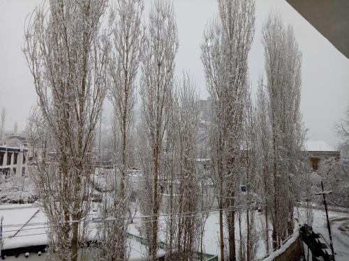 a group of trees are covered in snow at Mentokling Guest House and Garden Restaurant in Leh