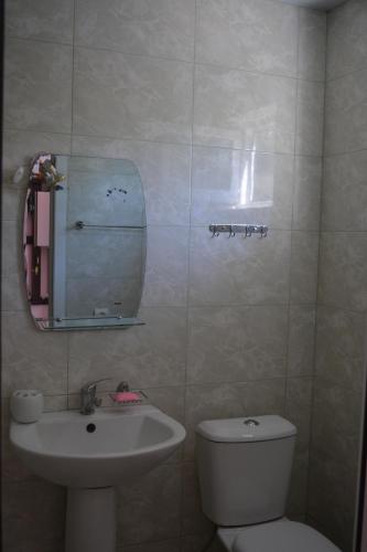 een badkamer met een toilet, een wastafel en een spiegel bij SUNNY SWEET HOME in Dilidzjan