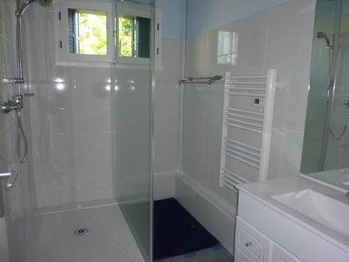bagno bianco con doccia e lavandino di Tour Rouge Gites a Virazeil