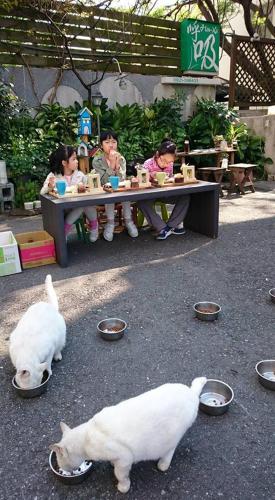 a white dog eating food in front of children at a table at Huxi B&B in Jian