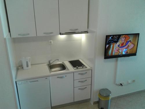 a small kitchen with a sink and a stove at Apartments Toma Bajnice Directly in Krilo