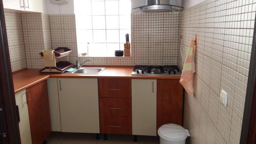 uma pequena cozinha com um lavatório e uma janela em Casa Mevas em Costinesti