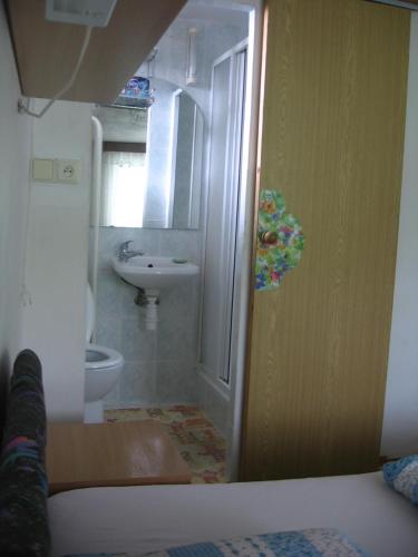 a bathroom with a toilet and a sink at Penzión Závada in Nová Lesná