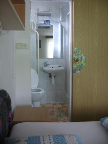 a small bathroom with a toilet and a sink at Penzión Závada in Nová Lesná