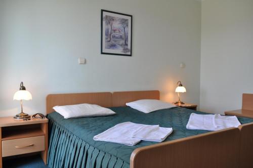 Postel nebo postele na pokoji v ubytování Uzdrowisko Wysowa nad Parkiem