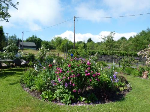 a garden with colorful flowers in the grass at Ferienwohnung-Kubis in Kurort Altenberg